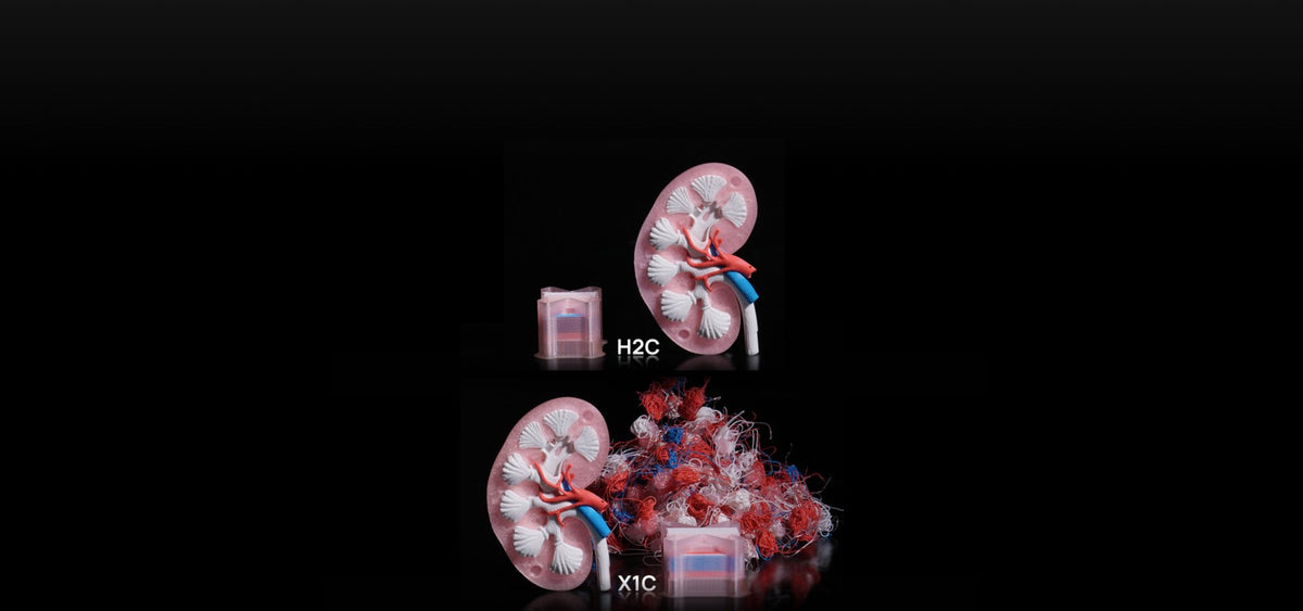h2c — Dedicated hotends for material changes