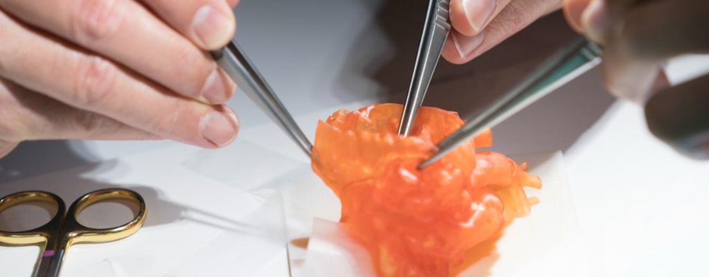Medical education with a 3D printed anatomical model