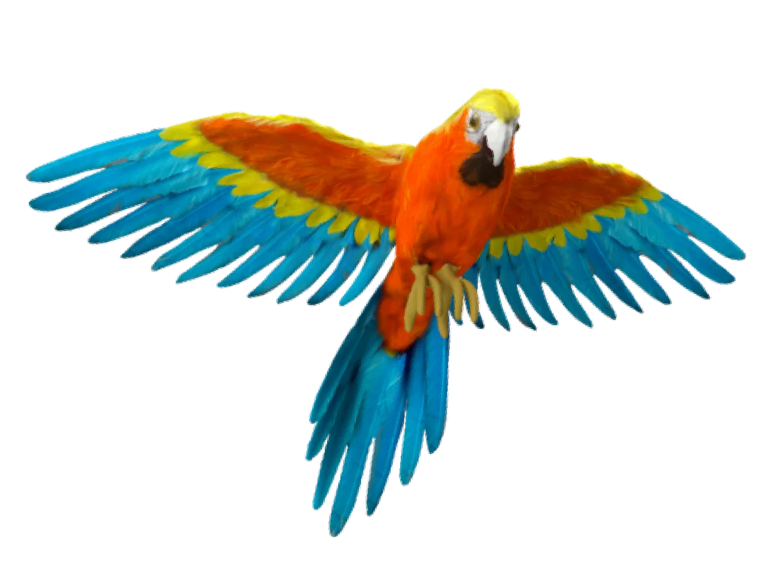 48 MP colour camera